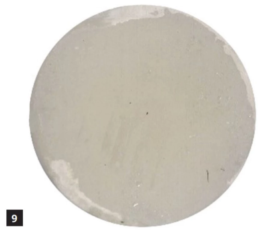Kontrolní vzorek Filteku Ultimate ve vodě<br>
Fig. 9 Filtek Ultimate control sample in water