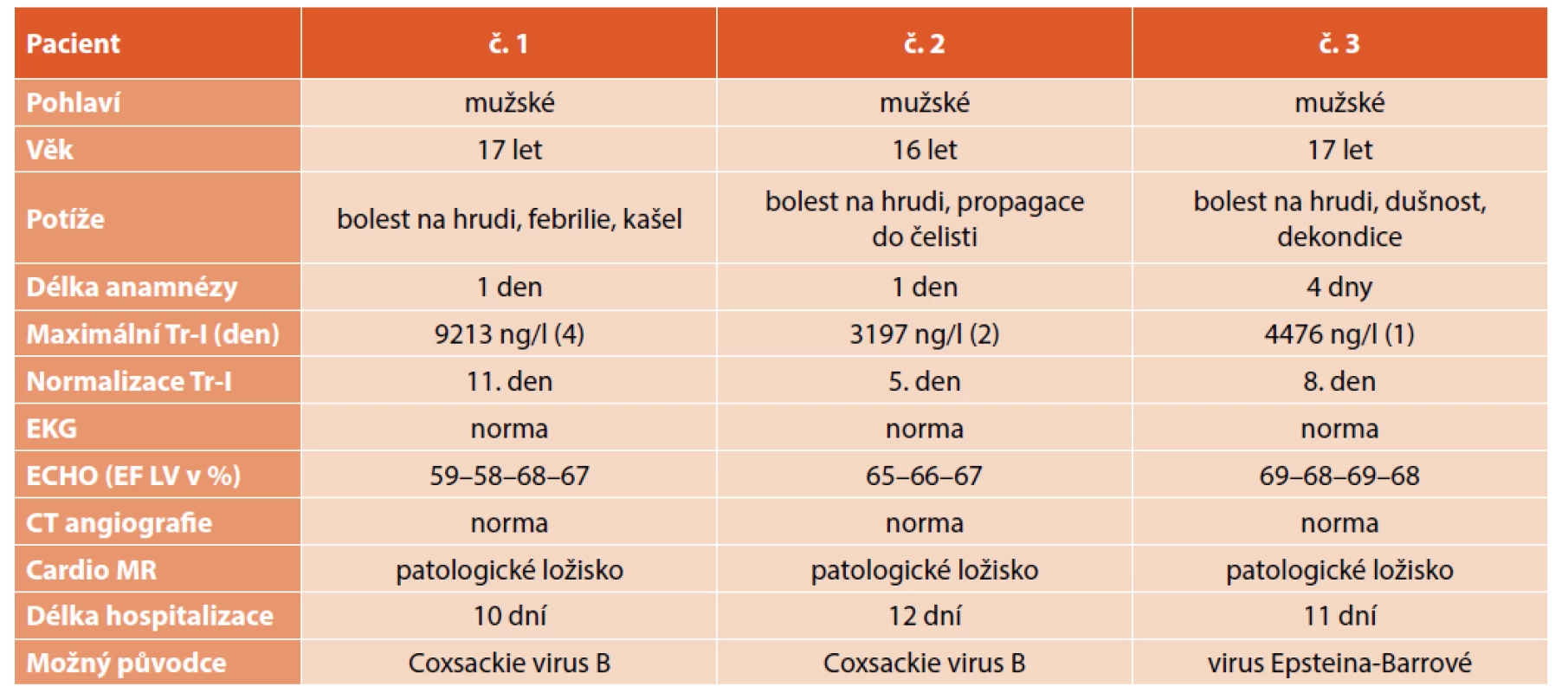 Souhrn anamnéz a vyšetření u všech pacientů.