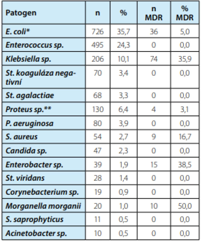 Prevalence jednotlivých bakteriálních rodů a
druhů ve sledovaném období (počet a procentuální
zastoupení) včetně podílu multirezistentních (MDR)
forem. Sporadické kmeny (n < 10) nejsou uvedeny.<br>
*z toho E. coli haemolytica n = 227<br>
**z toho P. mirabilis n = 92, P. vulgaris n = 6<br>
Tab. 1. Uropathogenic bacteria prevalence in the
study period (number and rate) including multi-drug
resistant (MDR) strains. Pathogens of less than 10 isolates
are not listed.<br>
*E. coli haemolytica n = 227<br>
** P. mirabilis n = 92, P. vulgaris n = 6