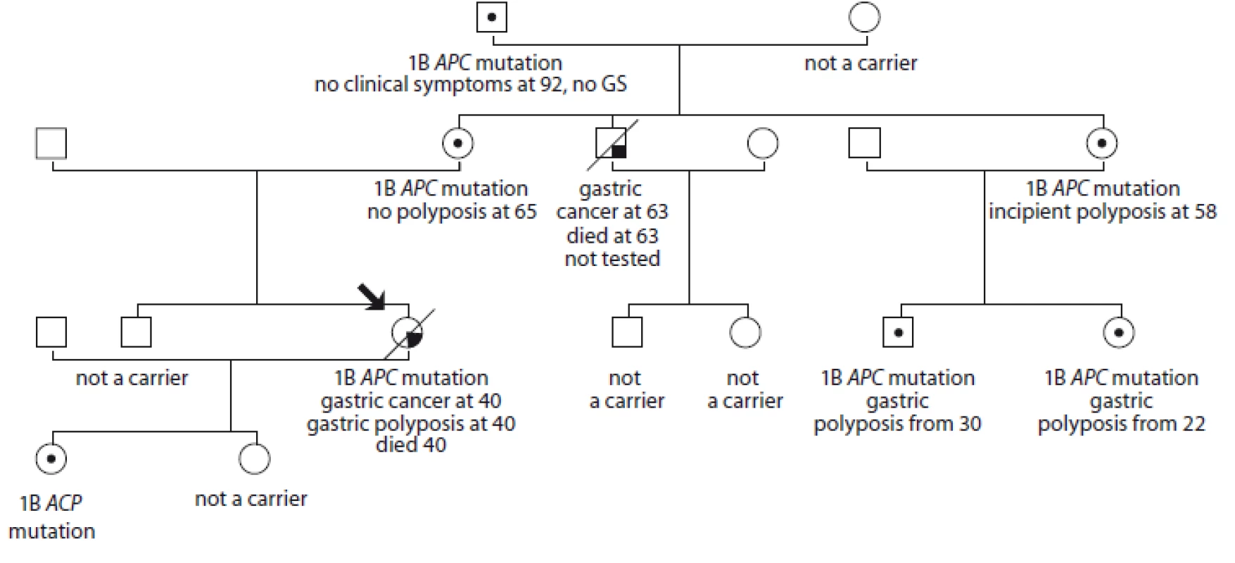 Pedigree of family no. 5 (Masaryk Memorial Cancer Institute).