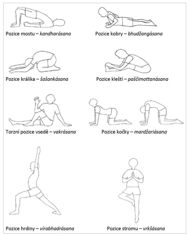 Jógové ásany.<br>
Fig. 1. Yoga asanas.