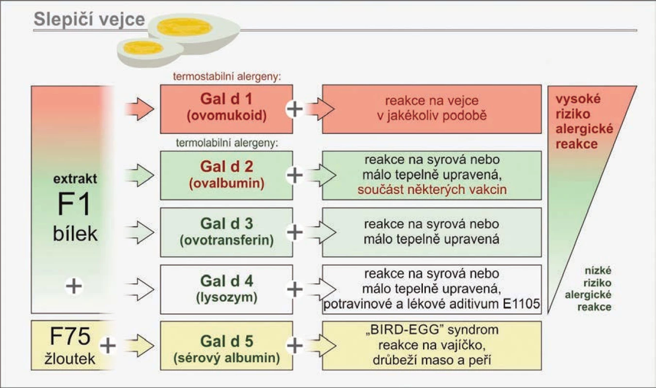 Vyšetření sIgE protilátek proti vybraným molekulárním komponentám slepičích vajec
Predikce rizika alergické reakce.