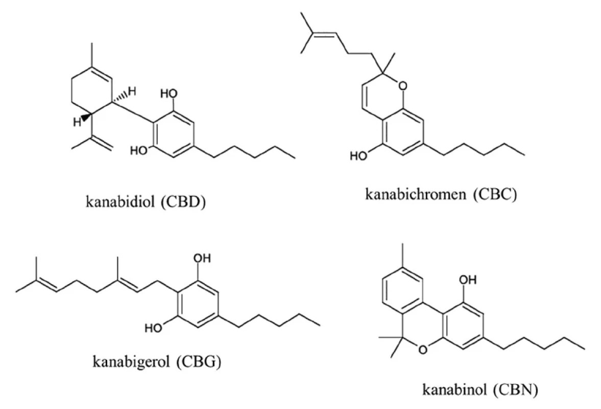 Chemické struktury
studovaných
fytokanabinoidů. <br> 
Fig. 1.
Chemical structures
of studied
phytocannabinoids