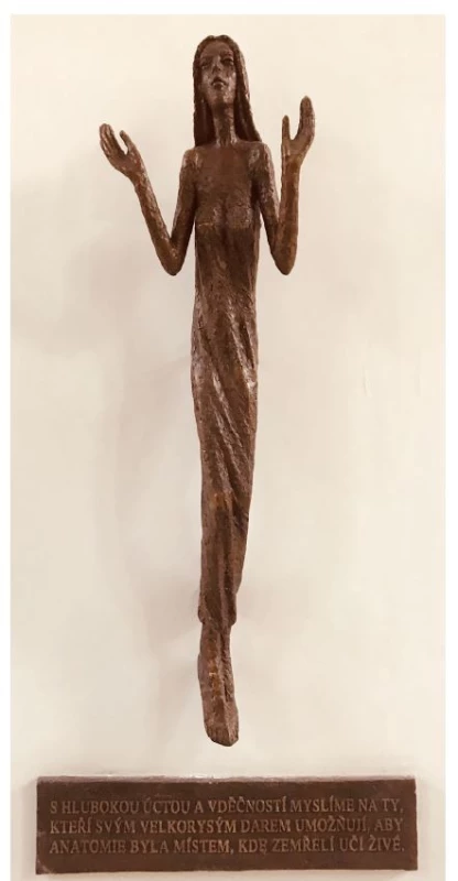 Plastika „Thysia“ od Olbrama Zoubka je poděkováním
dárcům v Anatomickém ústavu 1. LF UK v Praze.