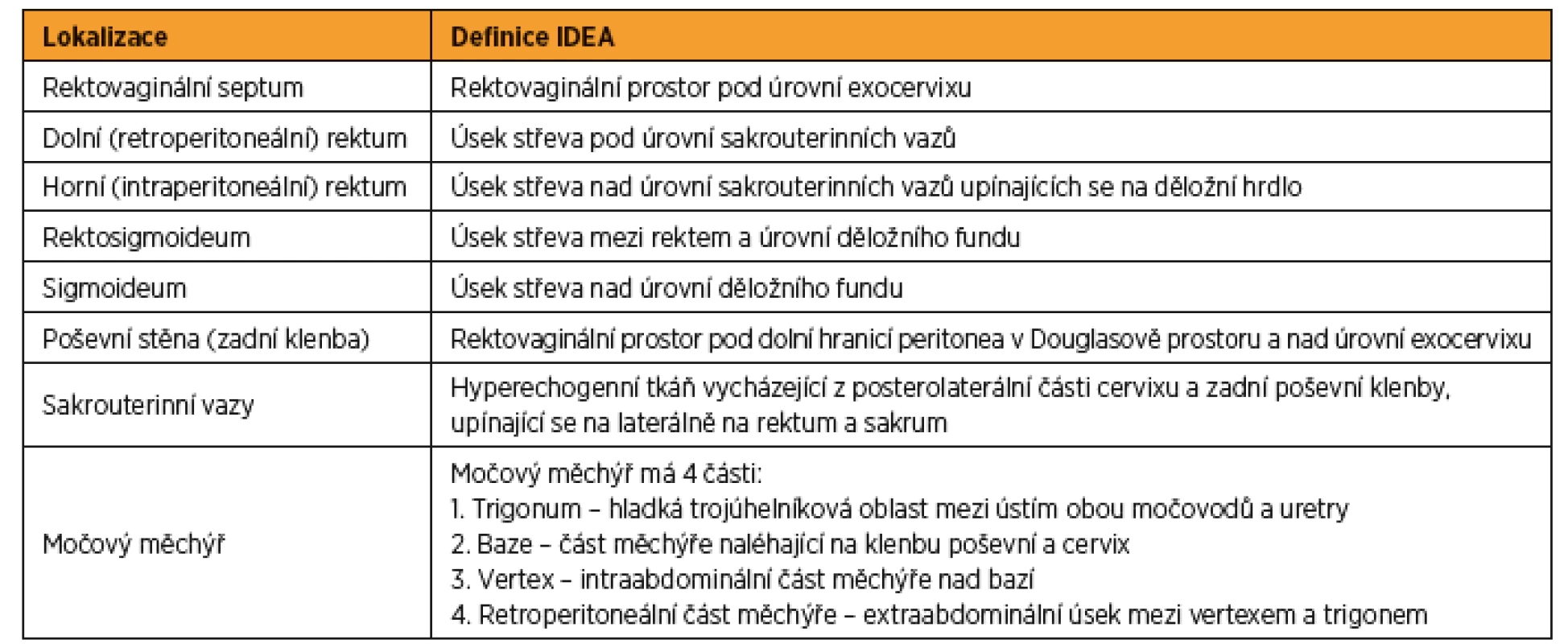 Anatomické definice podle doporučení IDEA