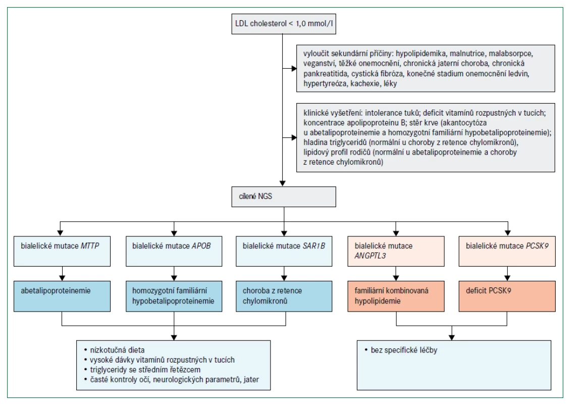 Algoritmus pro diagnostickou a léčebnou rozvahu u poruch lipoproteinů s velmi nízkou hladinou LDL-cholesterolu 