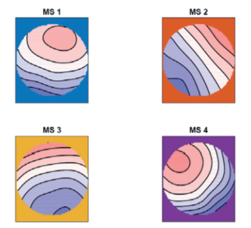 The grand mean of the topographic maps over
all of the subjects for four micro-states (MS 1, MS 2, MS
3, MS 4).