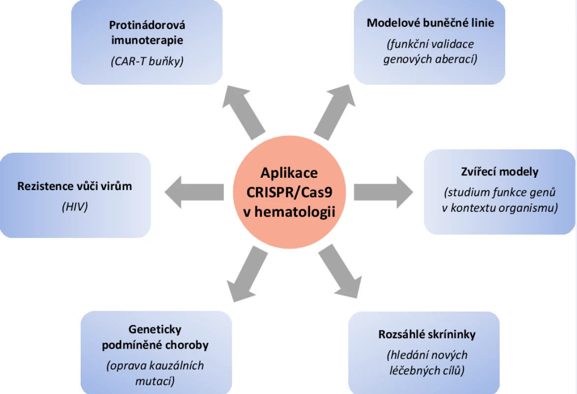 Spektrum aplikací genové editace v hematologii a jejich konkrétní příklady