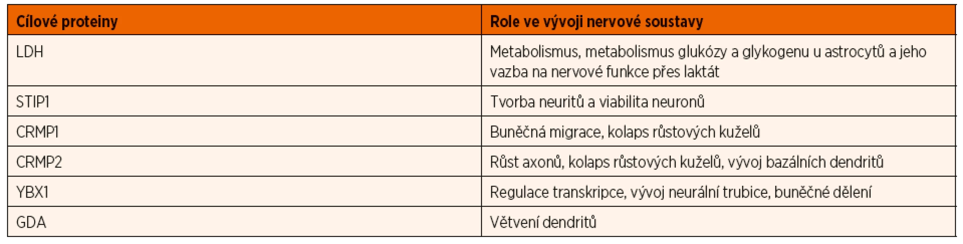 Úloha proteinů zacílených maternálními autoprotilátkami spojenými s PAS při vývoji nervové soustavy (upraveno podle Jones and Van
de Water, 2019).