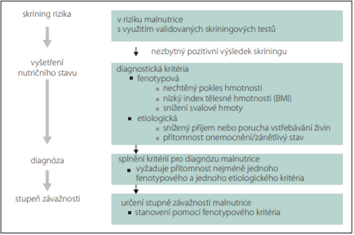 Globální konsensus pro diagnostiku malnutrice u dospělých.
Fig. 2. Global consensus for the diagnosis of malnutrition in adults.