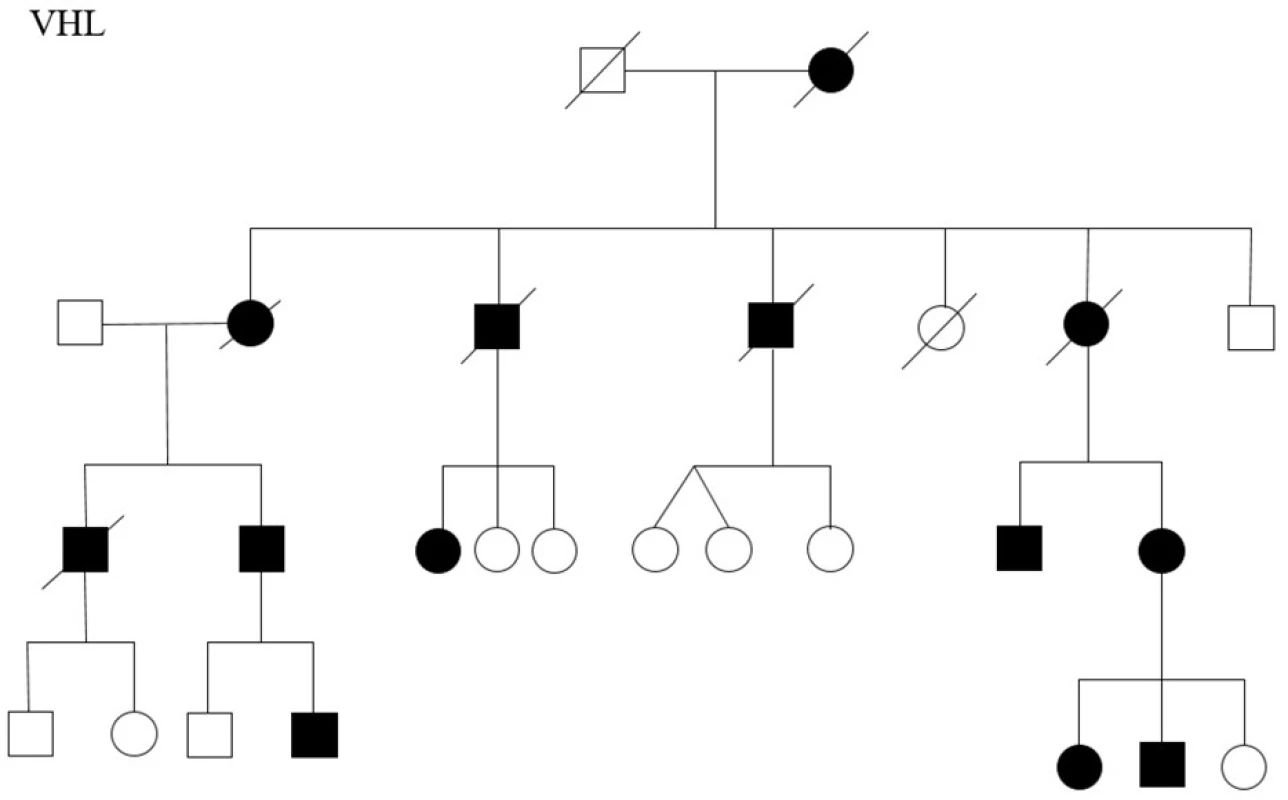 Rodokmen rodiny s Von Hippel Lindau syndromem<br>
Fig. 3. The family tree of the family with Von Hippel Lindau syndrome
