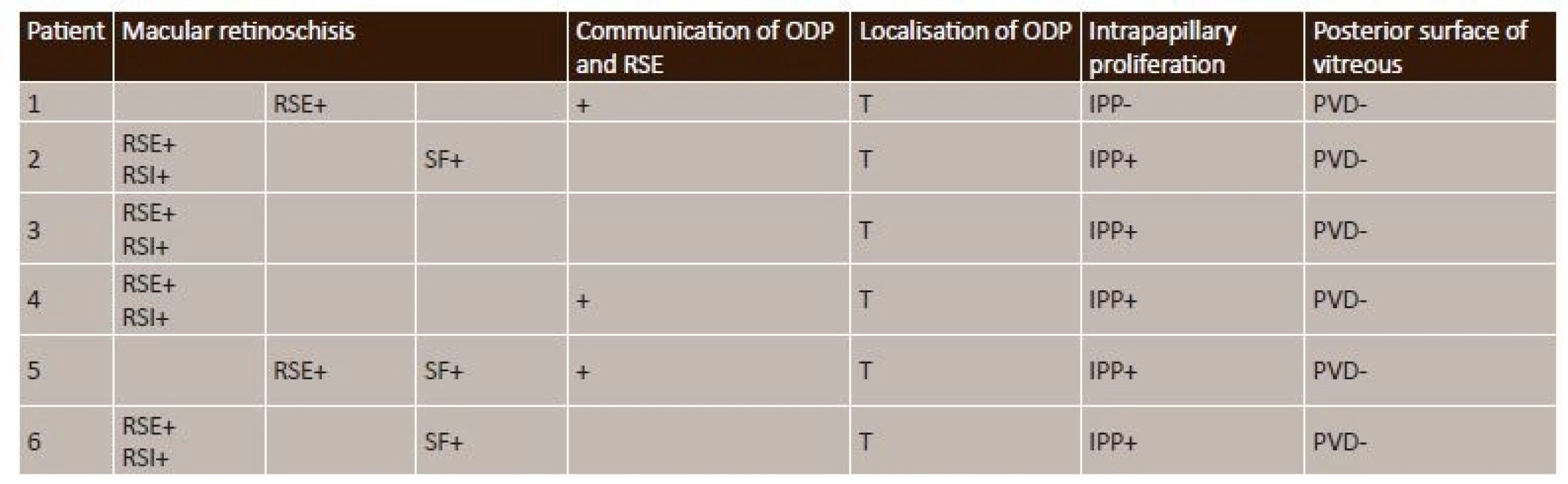 OCT findings of macular retinoschisis, optic disc pit and vitreoretinal interface upon initial examination (n = 6 eyes)