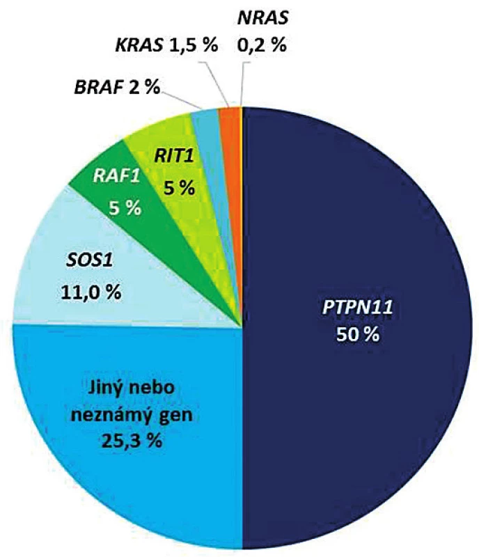 Přehled genů Ras/MAPK signalizační kaskády, jejichž
patogenní varianty vedou ke vzniku RASopatií/syndromu Noonanové.