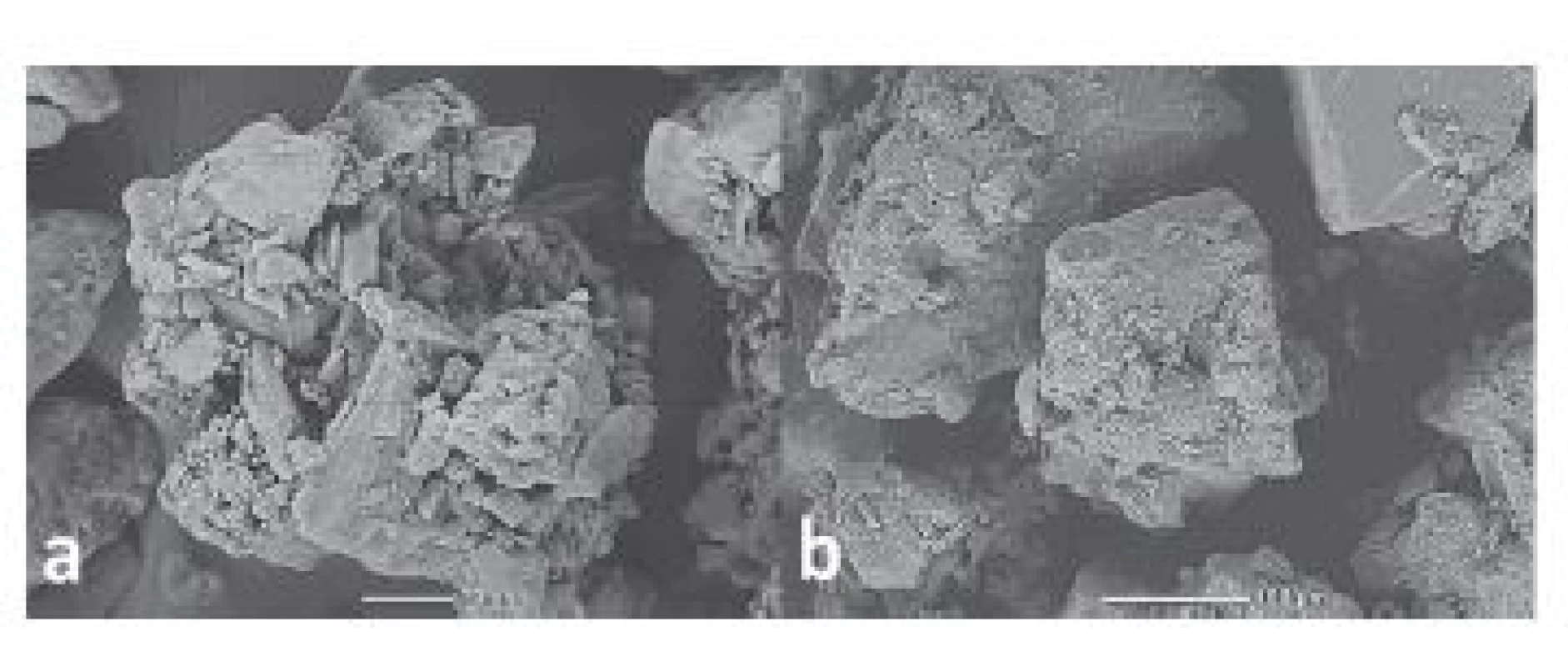 Wet granulated CPE<br>
a) Ludiflash®, b) Xylitab® 100
