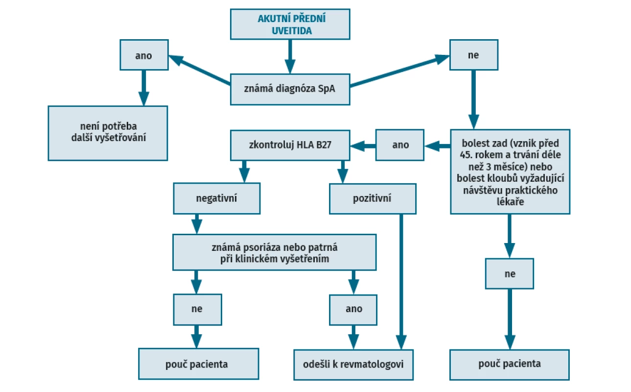 Referenční strategie: Dublin uveitis evaluation tool (převzato z 17)