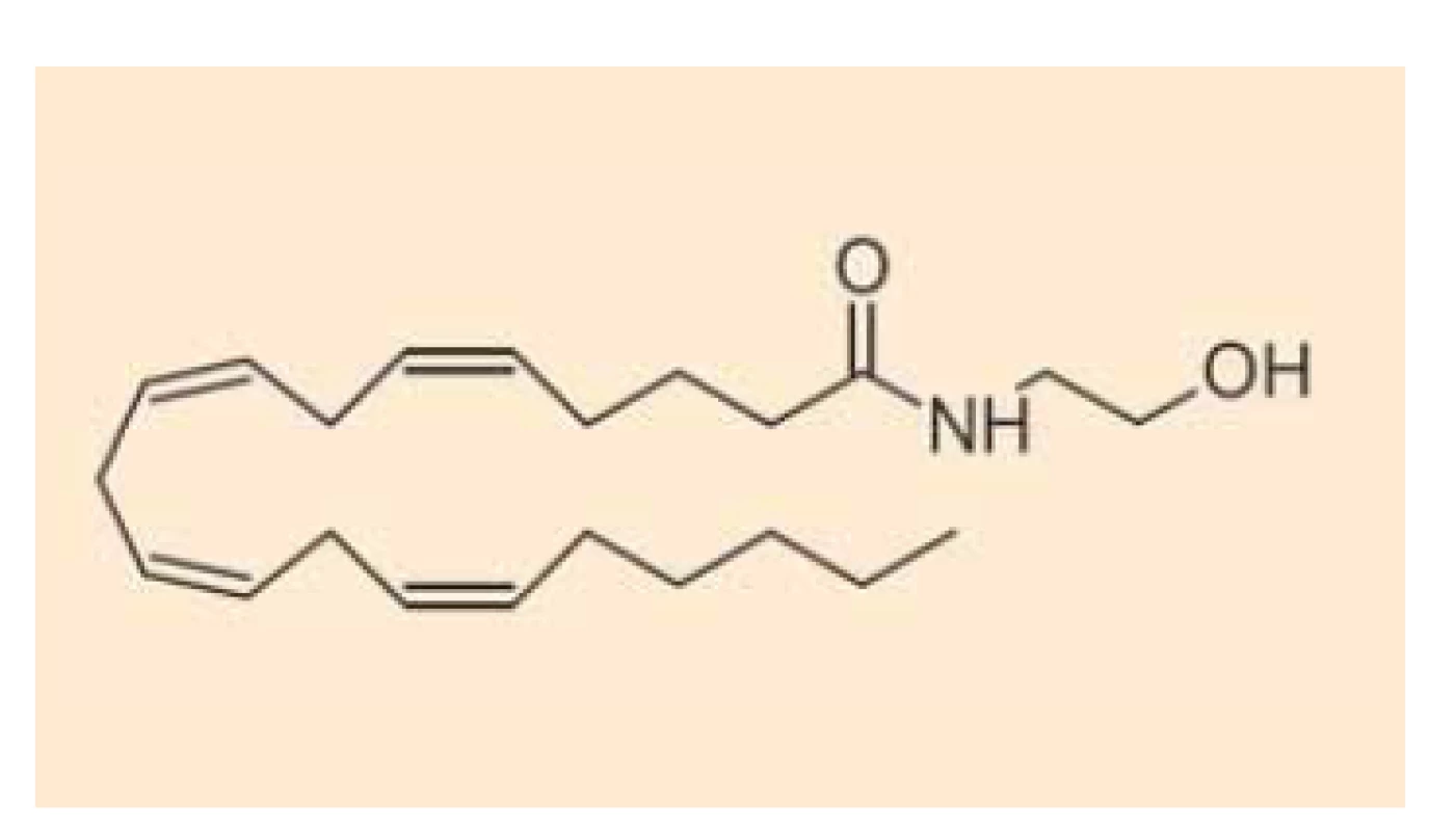 Chemická struktura
anandamidu.<br>
Fig. 1. Chemical structure of
anandamide.