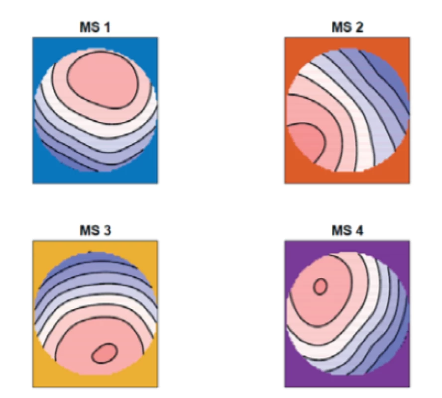 The mean of the topographic maps in the
epileptic group for four microstates (MS 1, MS 2, MS 3,
MS 4).
