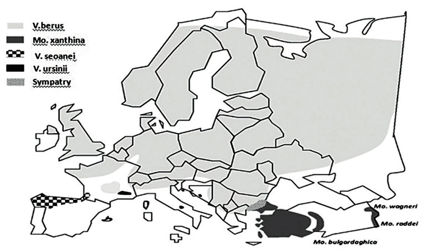 Distribúcia jednotlivých druhov hadov z čeľade Viperideae v Európe. Upravené
podľa [1].