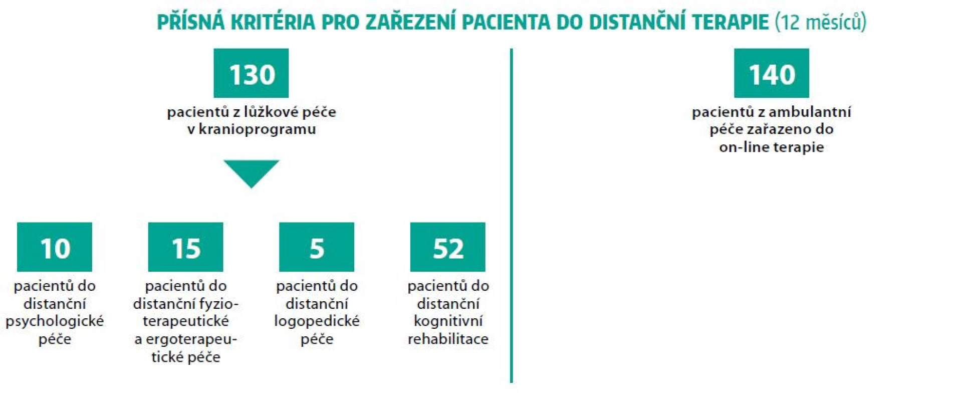 Indikační kritéria pro zařazení pacienta do distanční terapie