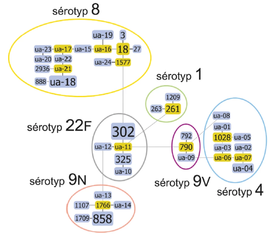 Diagram genetické příbuznosti podle MLVA analýzy, algoritmus eBURST,
u souboru kmenů S. pneumoniae, ČR, 2017<br>
Figure 2. Diagram of genetic relatedness based on MLVA, eBURST algorithm for
selected strains of S. pneumoniae, CR, 2017