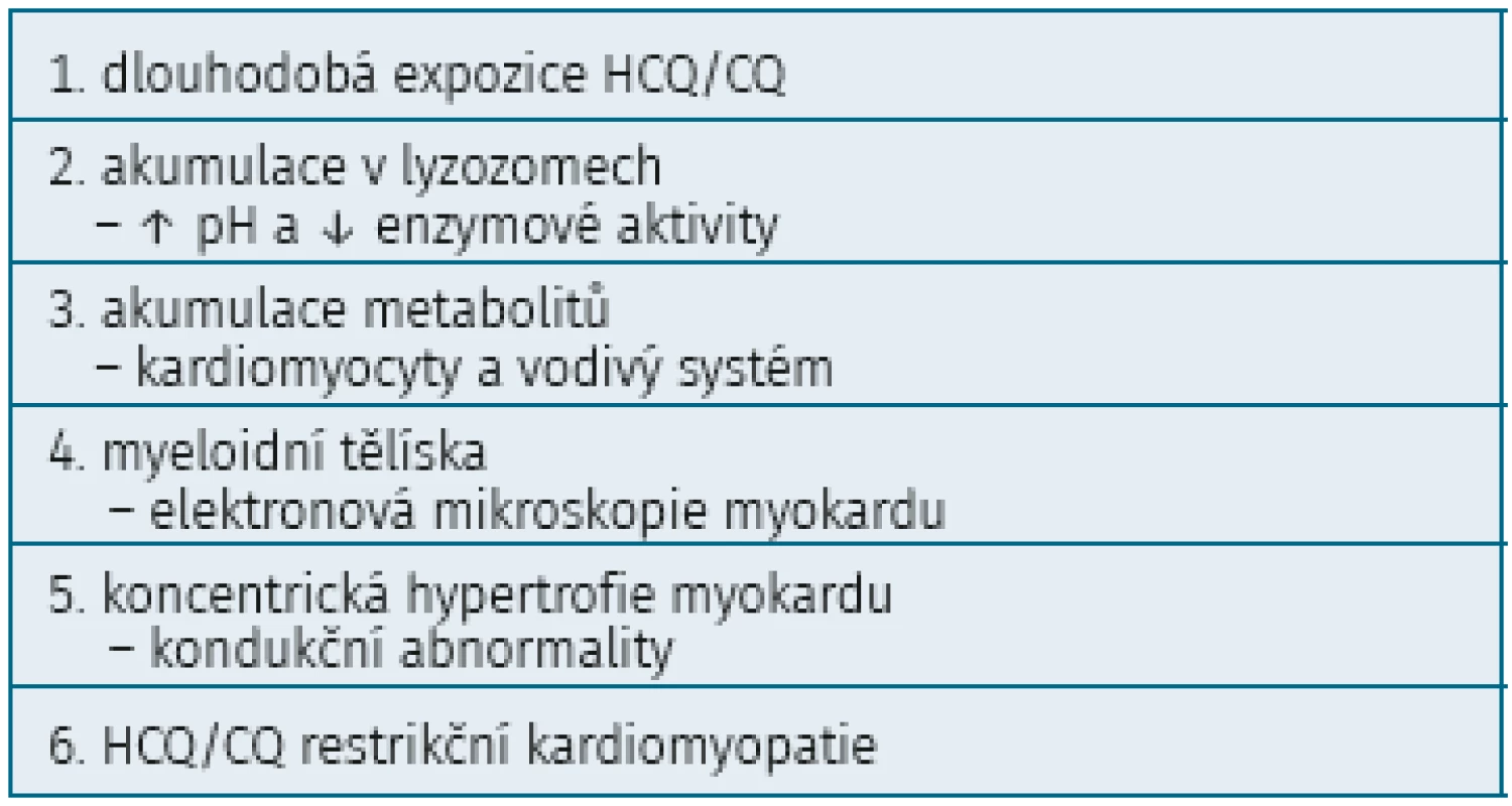 Patogenní dráha kardiomyopatie při terapii syntetickými antimalariky (upraveno podle 17)