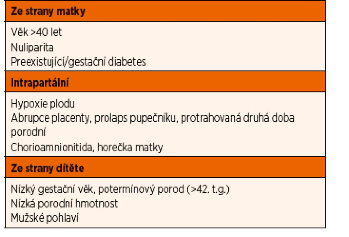 Rizikové faktory NZ [3].