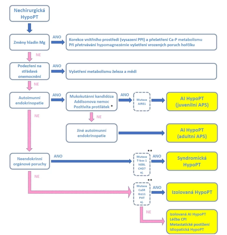 Diagnostický algoritmus nechirurgické hypoparatyreózy