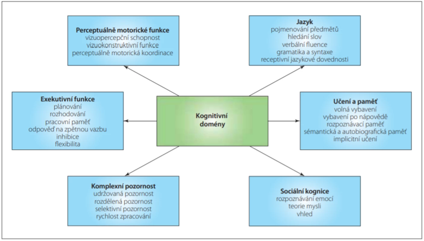Kognitivní domény. Převzato, přeloženo a graficky modifikováno z [8].<br>
Fig. 1. Cognitive domains. Originally from [8]; translated and graphically modified. 