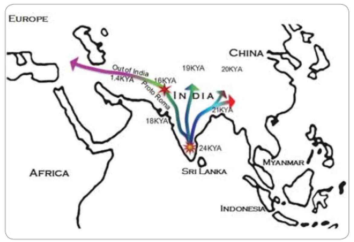 Najpravdepodobnejšia cesta prehistorickej expanzie Y-chromozomálnej haploskupiny
H1a1a-M82 a nedávna migrácia európskych rómskych predkov z Indie.