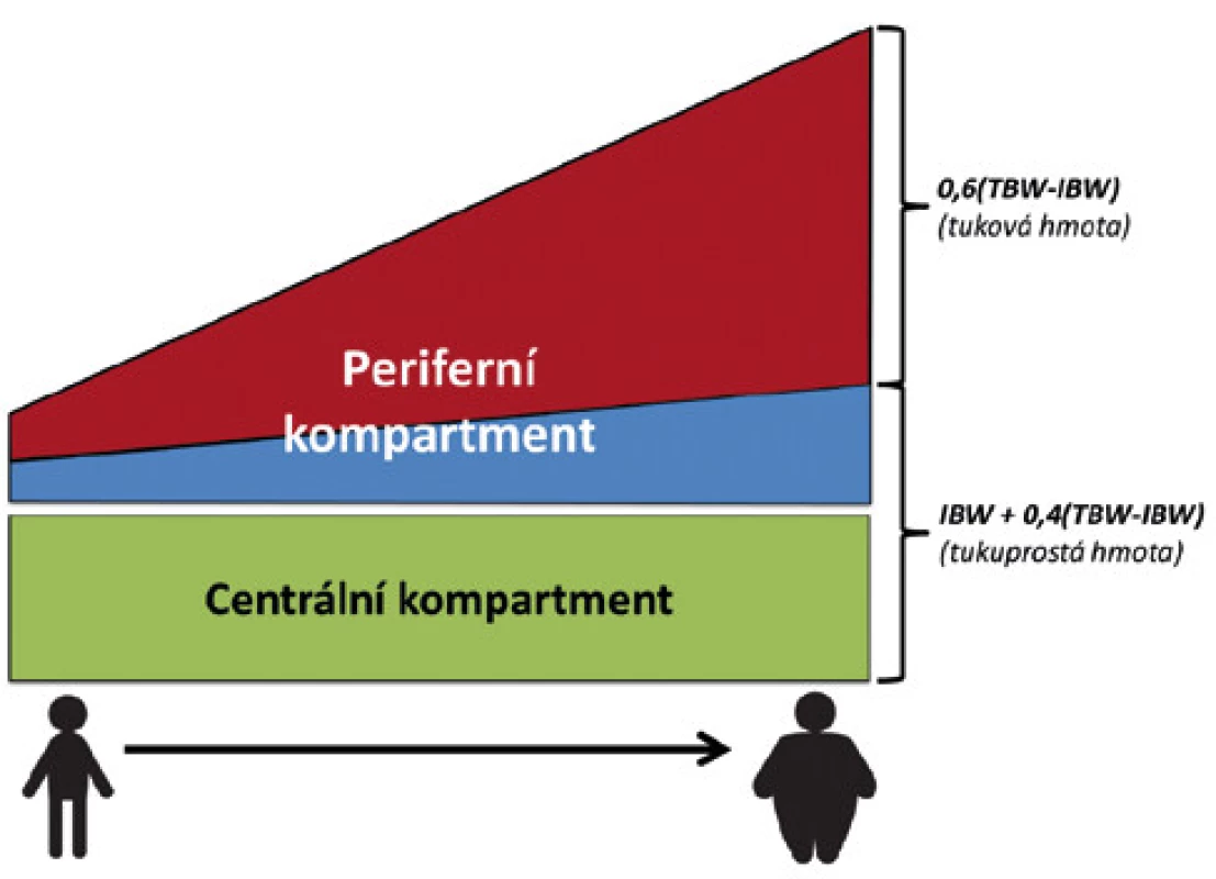 Schematické znázornění tělesného složení u pacientů podle BMI. 
Na schématu je patrné, že relativní množství tuku v těle stoupá rychleji, než 
množství tukuprosté váhy