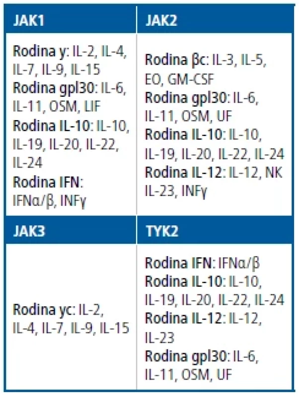 Role Janusových kináz
(JAK) v signální transdukci cytokinů,
chemokinů a růstových faktorů
[Upraveno podle 14]