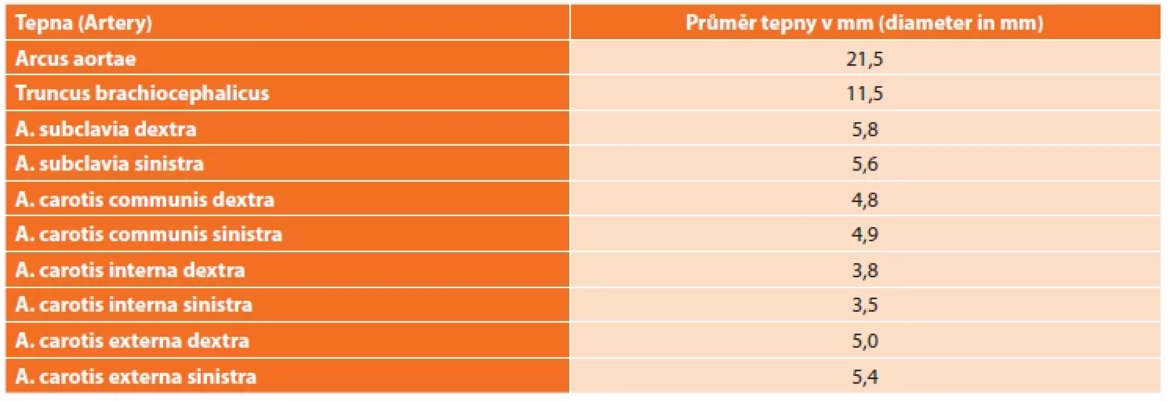Přehled morfometrie tepen hlavy a krku prasete, plemeno Landrace [5] <br> 
Tab. 2. Morphometry of the porcine head and neck arteries, Landrace breed [5]