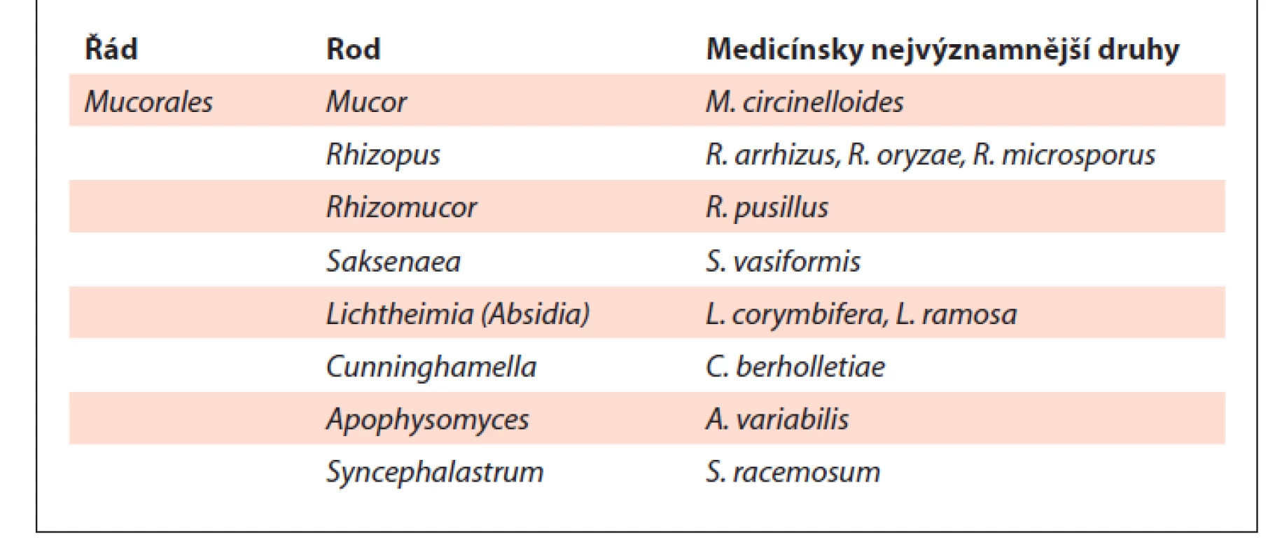 Přehled klinicky nejvýznamnějších druhů řádu Mucorales
(volně upraveno podle [2]).