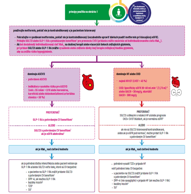 Liečba na zníženie hladiny glukózy pri diabete 2. typu: celkový prístup. Upravené podľa [2] so súhlasom Springer.
©EuropeanAssociationfor the Study of Diabetes and American Diabetes Association 2018