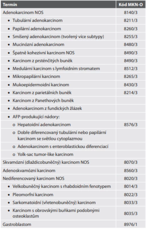 Maligní epitelové nádory žaludku