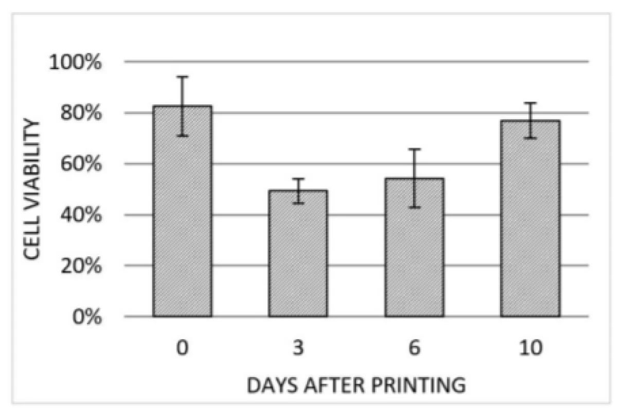Cell viability detected right after printing
(0 DAP), 3 DAP, 6 DAP and 10 DAP. At each point in
time the same three regions of the same scaffold
(50 kPa) were investigated. Error bars indicating
standard deviation of each data set (n=3).