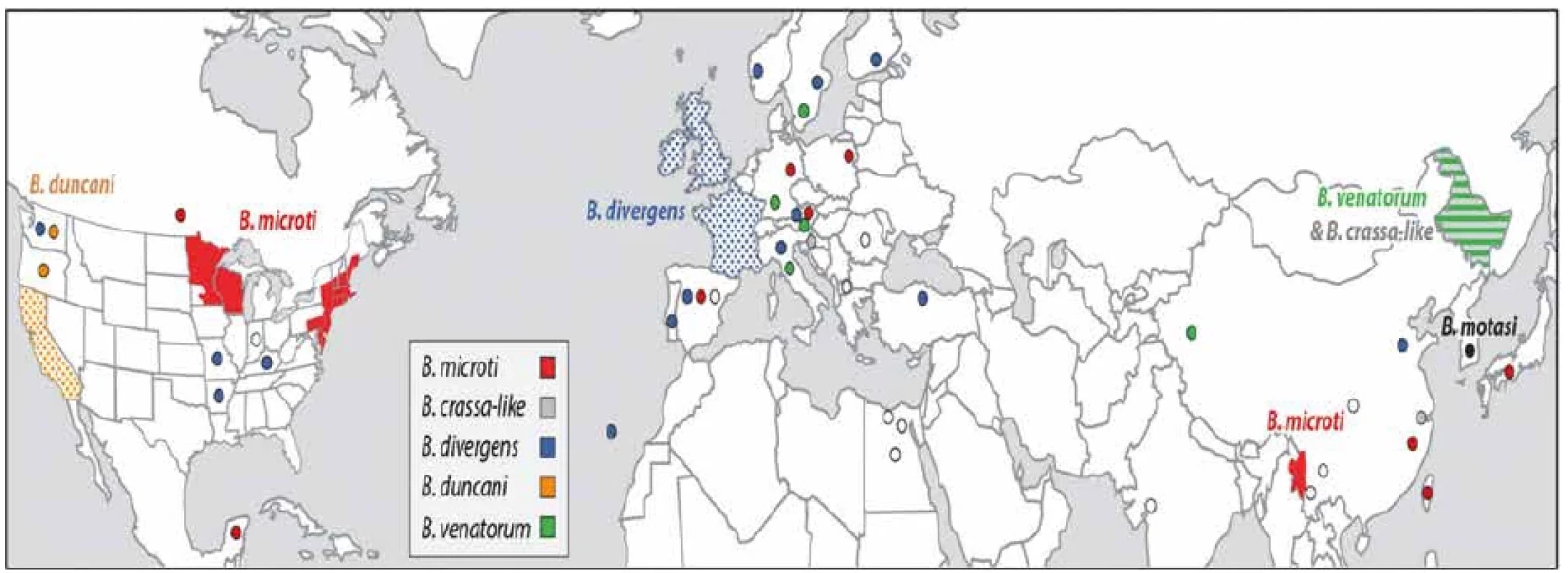 Geografický výskyt patogenních babesií způsobujících humánní babesiózu a výskyt onemocnění</br>Figure 1. Geographical distribution of pathogenic babesia causing human babesiosis and disease incidence