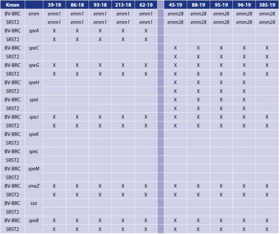 Distribuce genů sledovaných superantigenů hodnocená programem SRST2 a platformou BV-BRC</br>Table 2. Superantigen gene distribution analysed by the SRST2 software and BV-BRC platform
