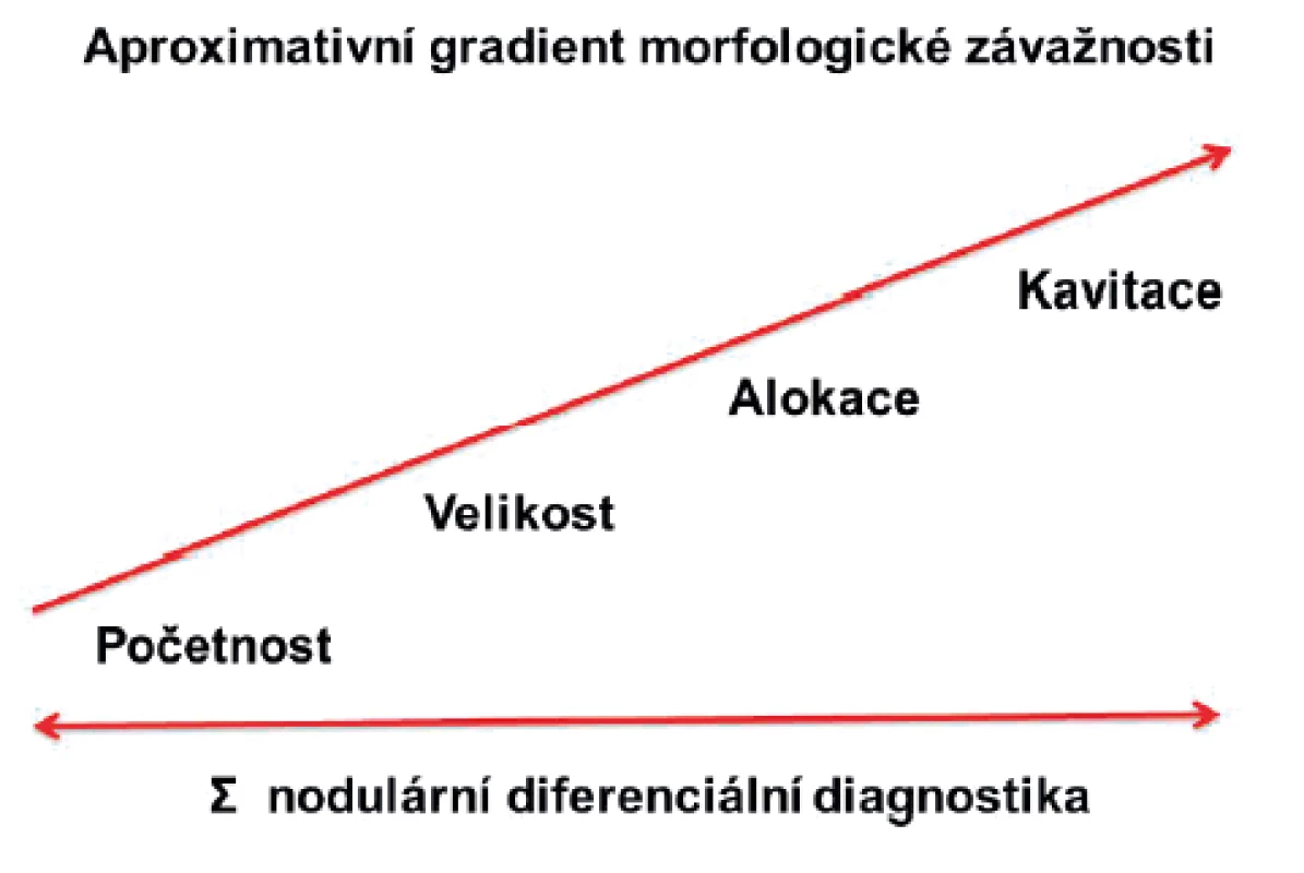 Přístup k celkovému hodnocení zánětlivých granulomů
u revmatických chorob
