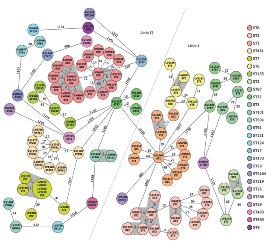 MST (Minimum Spanning Tree) vytvořený na základě cgMLST (porovnáním 1701 genů) u kmenů L. monocytogenes izolovaných
z klinických případů listerióz v České republice v letech 2016–2020 (n = 102)<br>
Fig. 2. MST (Minimum Spanning Tree) generated based on cgMLST (by comparing 1701 genes) for L. monocytogenes strains isolated
from clinical cases of listeriosis in the Czech Republic in 2016-2020 (n=102)