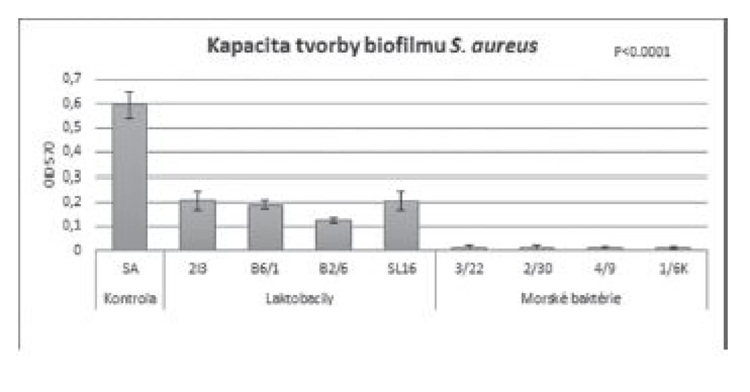 Antibiofilmová aktivita BS (c = 8,57 mg/ml) izolovaných
z laktobacilov a morských baktérií voči S. aureus CCM 3953