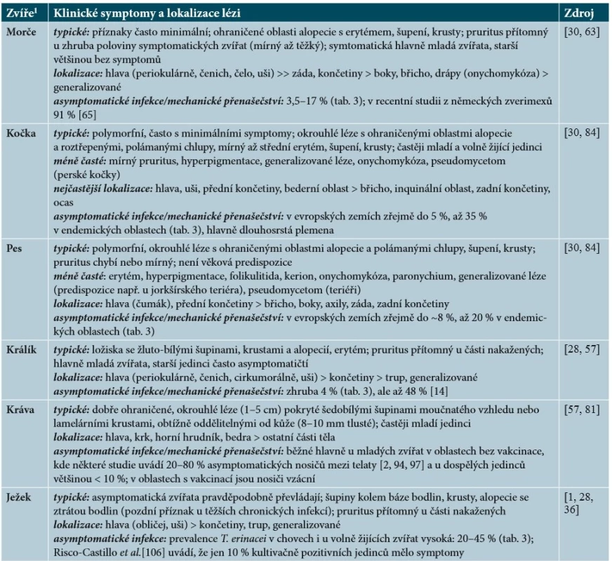 Klinická manifestace dermatofytóz u vybraných domácích zvířat s významným zoonotickým potenciálem v České republice