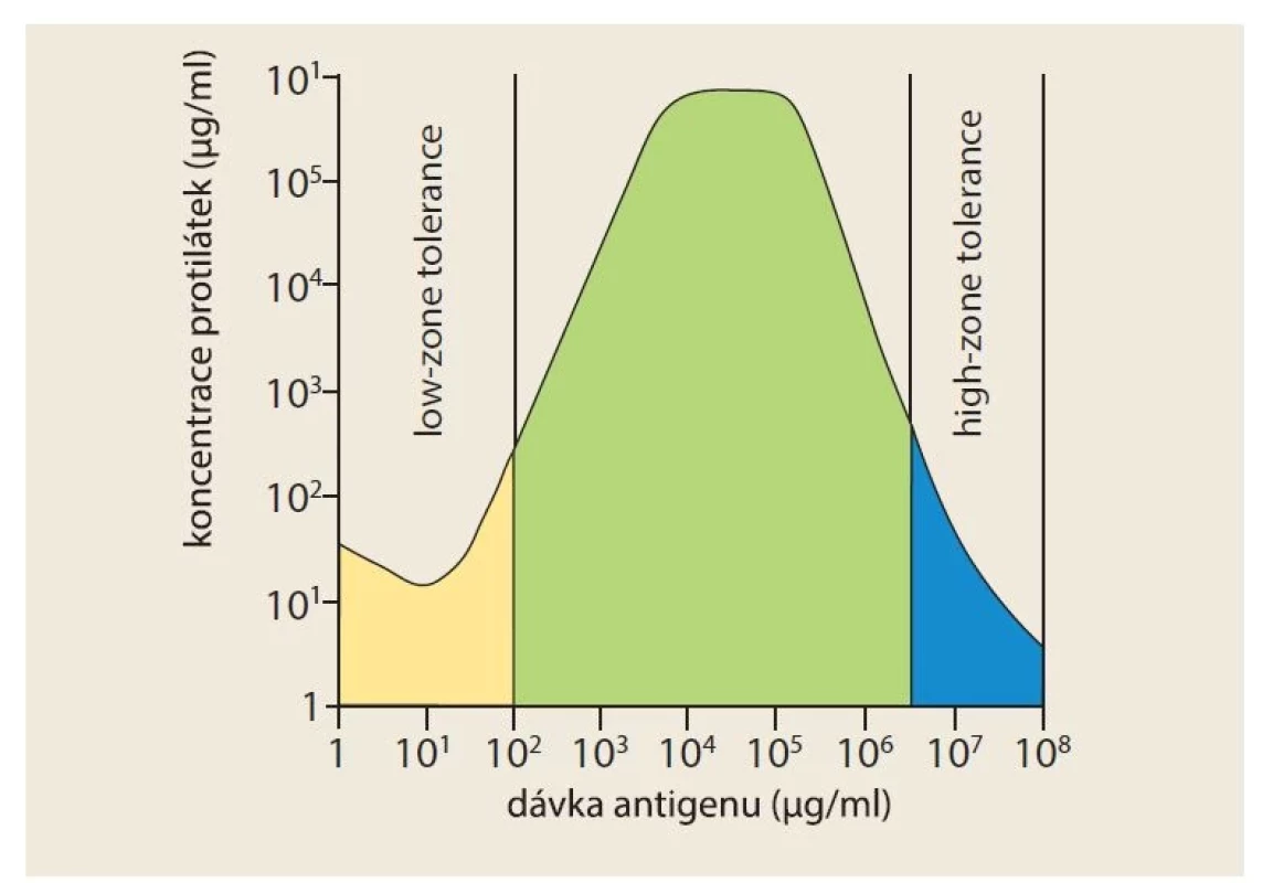 Vztah mezi koncentrací podaného antigenu a silou protilátkové odpovědi
[6].<br>
Fig. 2. Relation between the concentration of the administered antigen and the
strength of the antibody response [6].