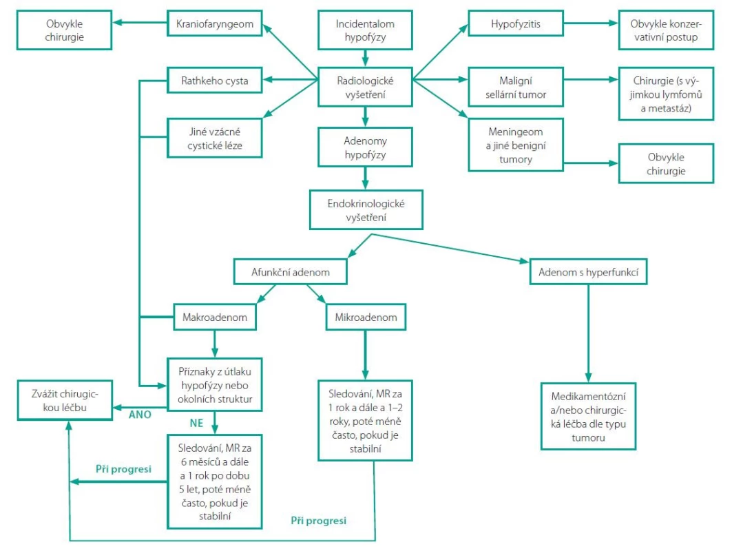 Algoritmus managementu incidentalomů hypofýzy. Upraveno dle: Vasilev V, Rostomyan L, Daly AF et al. Pituitary „incidentaloma“: neuroradiological
assessment and differential diagnosis. Eur J Endocrinol 2016;175(4):R171-R184