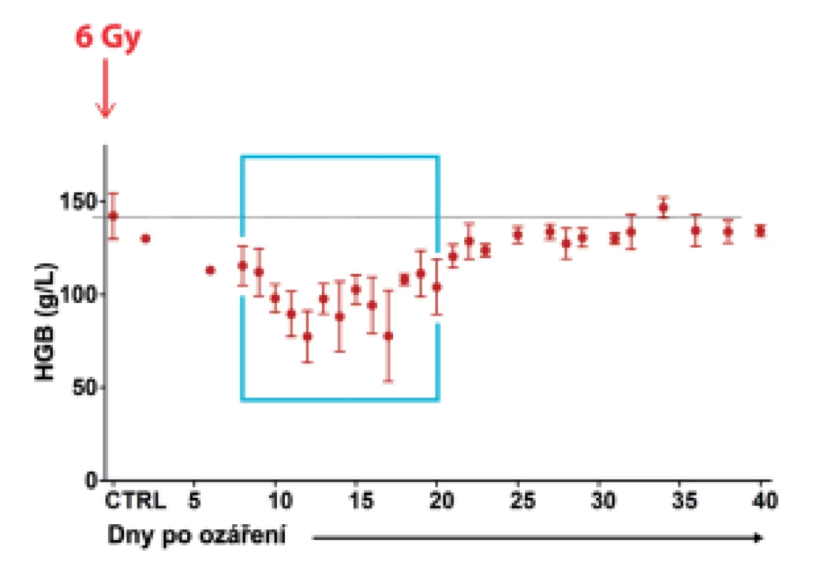 Spontánní regenerace krvetvorby byla analyzována v období
mezi 8. a 20. dnem po celotělovém ozáření myší dávkou 6 Gy. Od
12. dne se zastaví rozvoj anémie, což svědčí o obnovené produkci
erytrocytů v množství, které se vyrovná a posléze převýší množství
erytrocytů zanikajících (délka života erytrocytů je u myší asi 40 dnů).
(Faltusová, K. et al. (2020), doi: 10.3389/fcell.2020.00098)