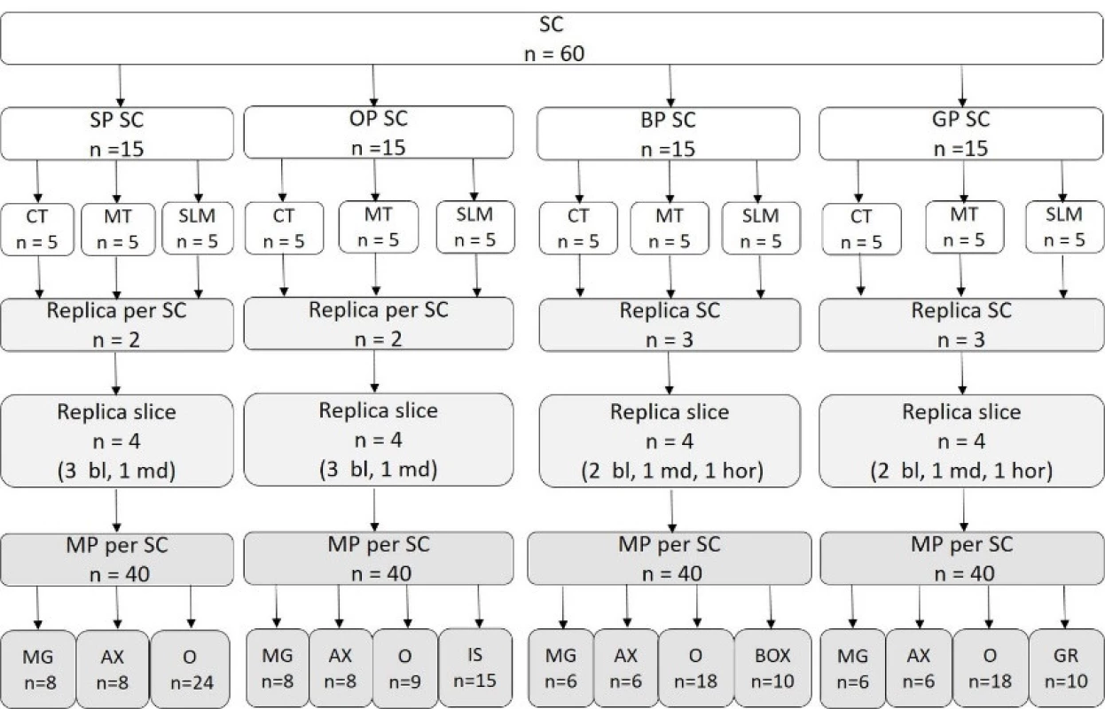  Replica technique design. Single crowns (SC): standard preparation (SP), preparation with occlusal isthmus (OP), preparation with proximal boxes (BP), preparation with buccal/lingual grooves (GP), cast technique (CT), milling technique (MT), selective laser melting (SLM); measuring points (MP): marginal (MG), axial (AX), occlusal (O), in occlusal isthmus (IS), in proximal box (BOX), in buccal/lingual groove (GR); replica slices: bucco-lingual (bl), mesio-distal (md), horizontal (hor)