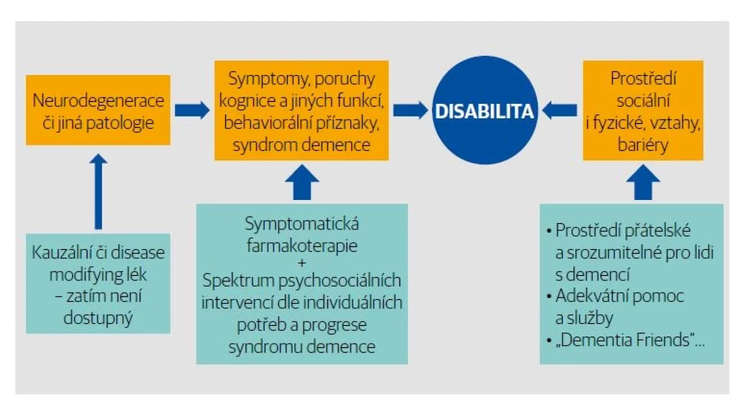 Demence jako disabilita a její příčiny.