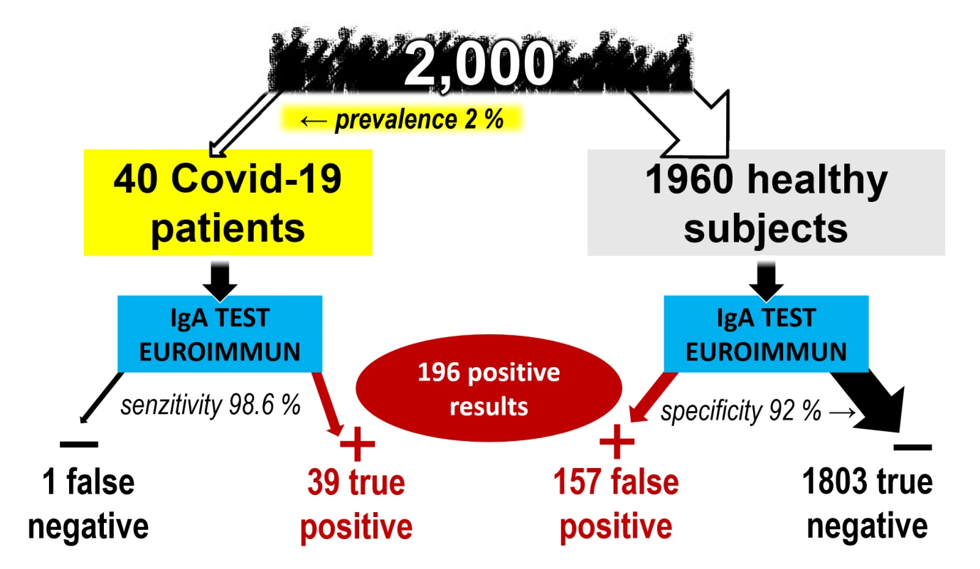  Predikce předpokládaného poměru správně/falešně pozitivních a správně/falešně negativních výsledků. Demonstrováno na souboru 2000 osob s 2% prevalencí a definovanou specificitou a senzitivitou souprav. Výpočet byl proveden pro soupravy ELISA Euroimmun IgG (vlevo) a IgA (vpravo). Při vysoké specificitě IgG soupravy převažuje významně počet správně pozitivních výsledků nad falešně pozitivními, v případě nižší specificity testu IgA významně převažuje počet falešně pozitivních osob nad správně pozitivními. Falešná negativita nepředstavuje při nízké prevalenci výrazný problém. (Ilustrace: H. Šimková)