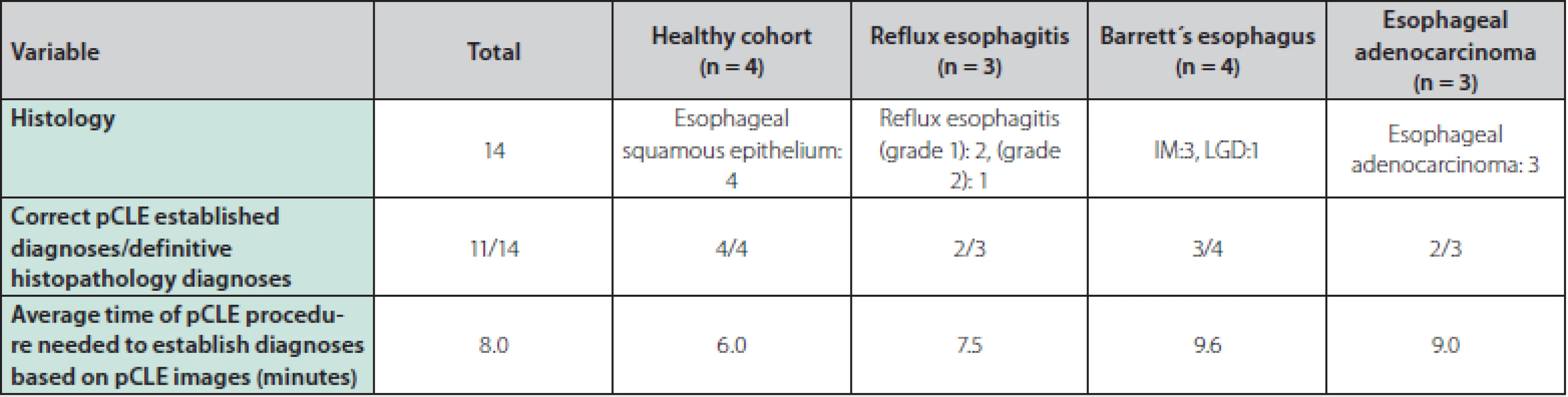 Correlation between pCLE images and definitive histopathology samples