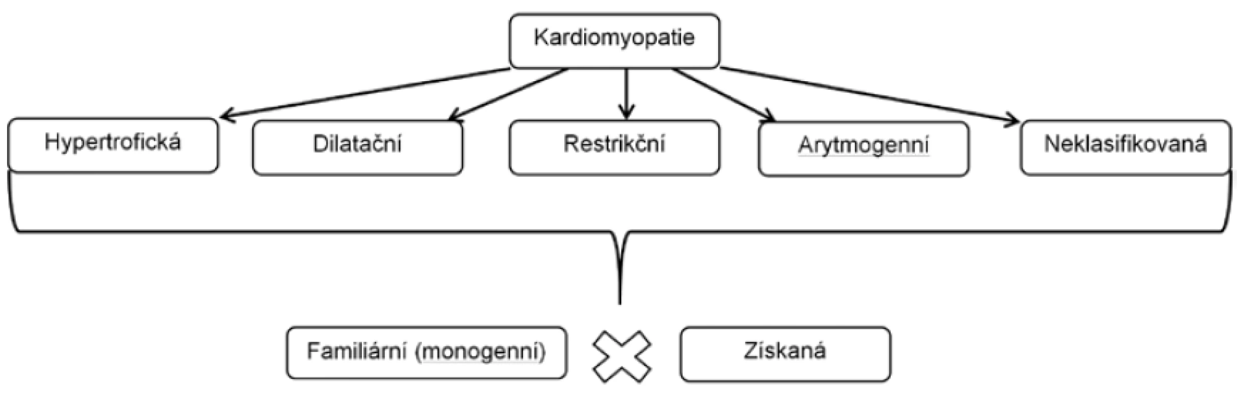 Klasifikace kardiomyopatií dle Evropské kardiologické společnosti.